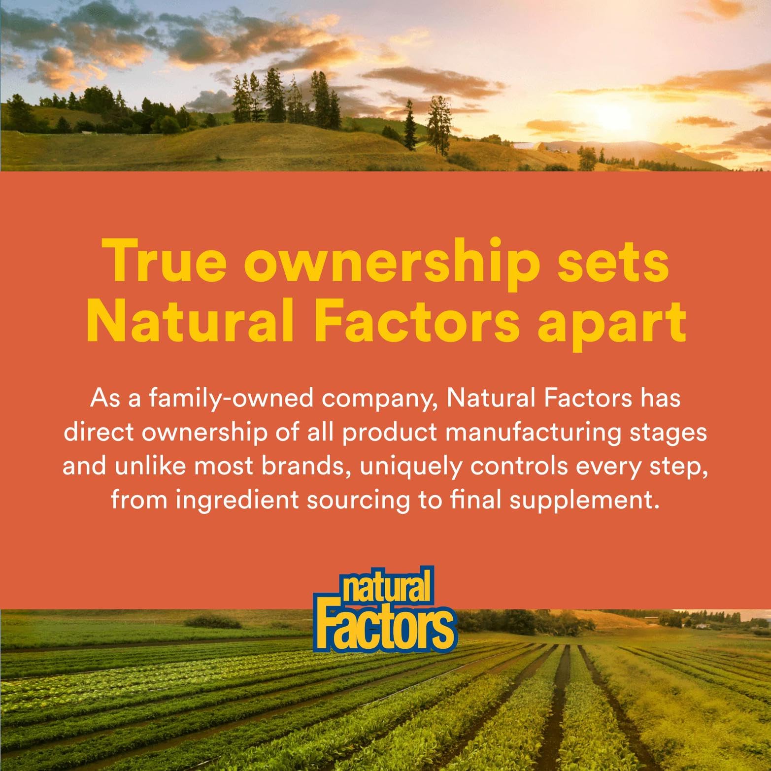 Natural Factors MSM dosage capsules image indicates simple 1-3 daily intake.