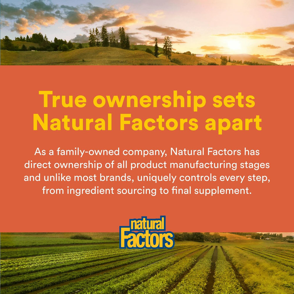 Natural Factors MSM dosage capsules image indicates simple 1-3 daily intake.