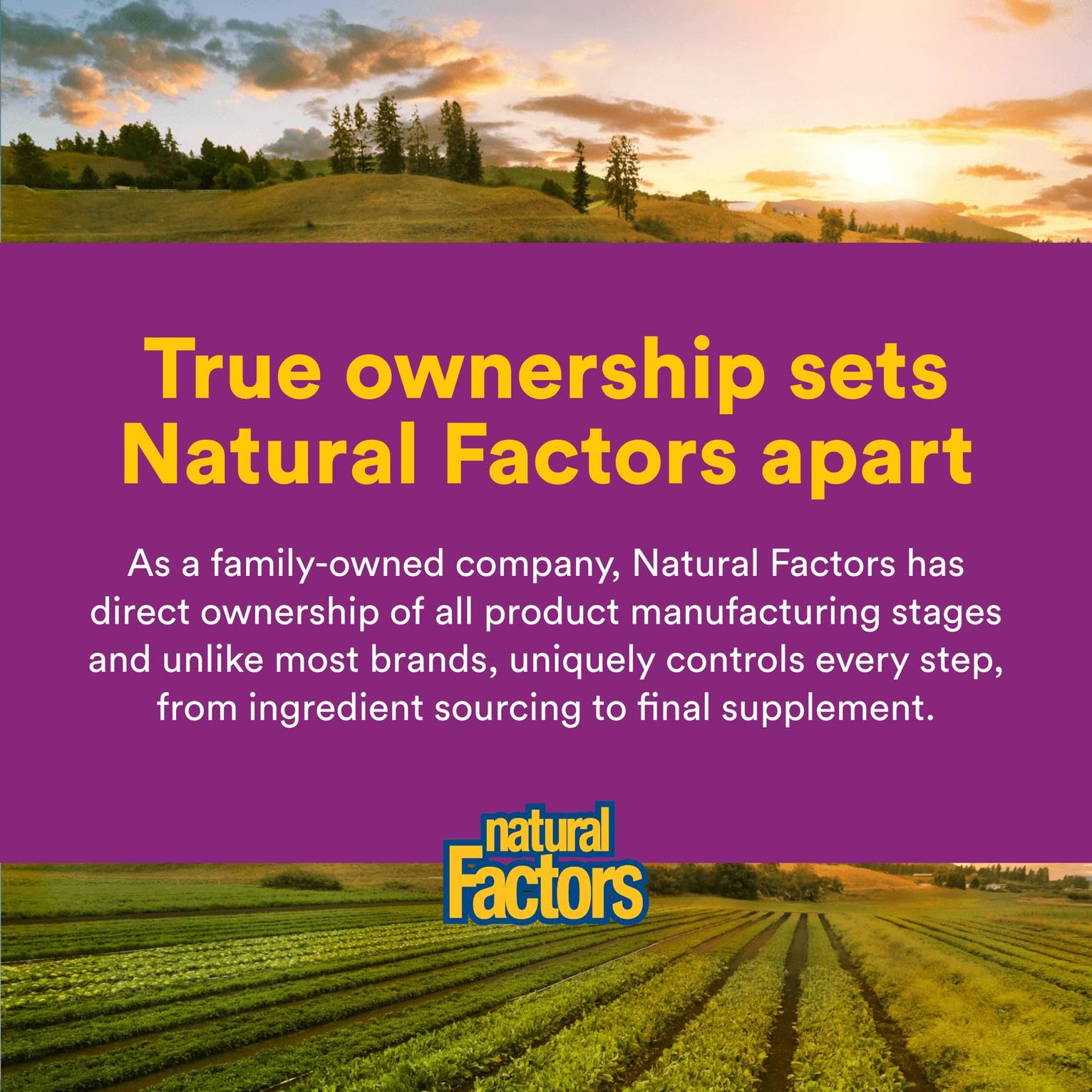 Natural Factors nutrition panel highlights riboflavin benefits.