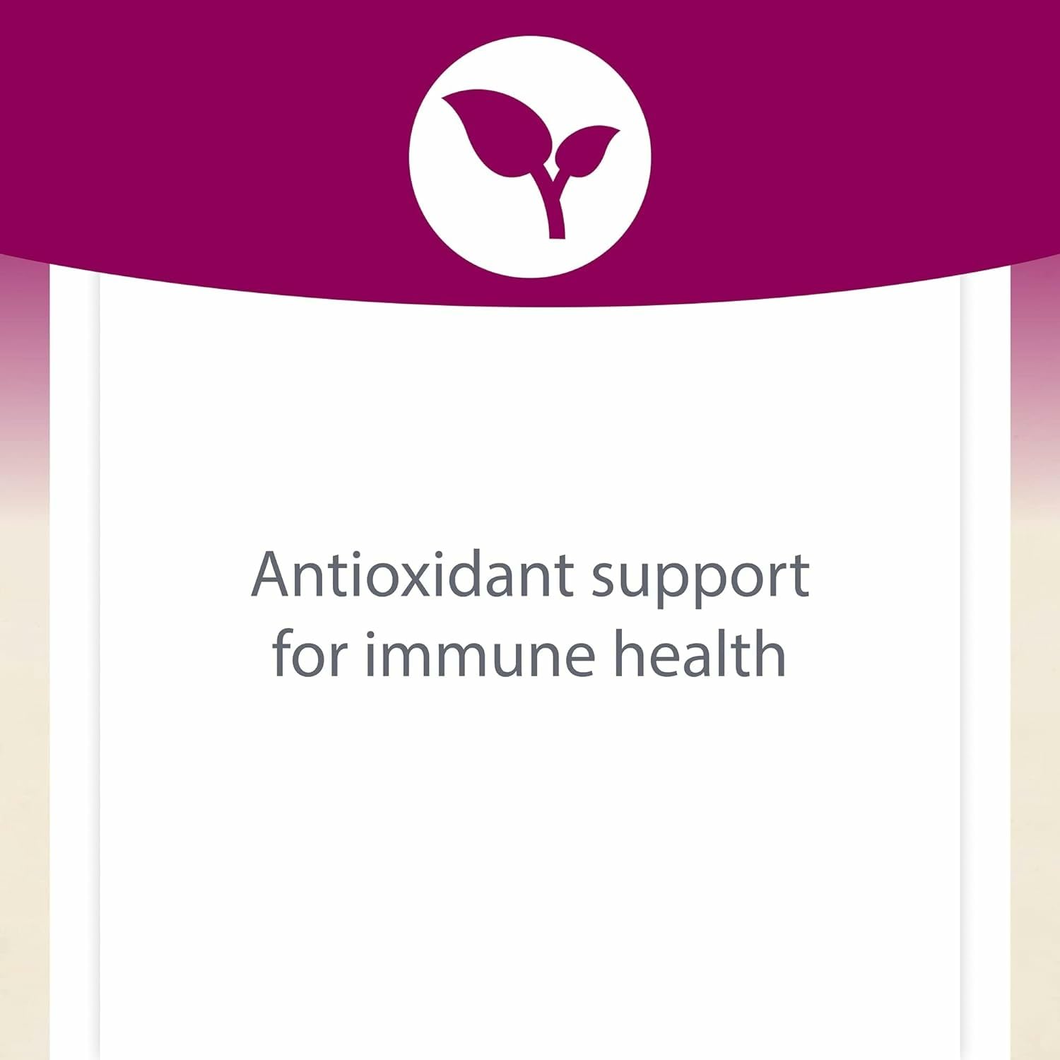 Natural Factors Oil of Oregano dosing guide with one softgel per day.