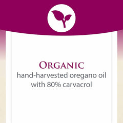 Natural Factors Oil of Oregano olive-oil-blend visual emphasizes balanced absorption.