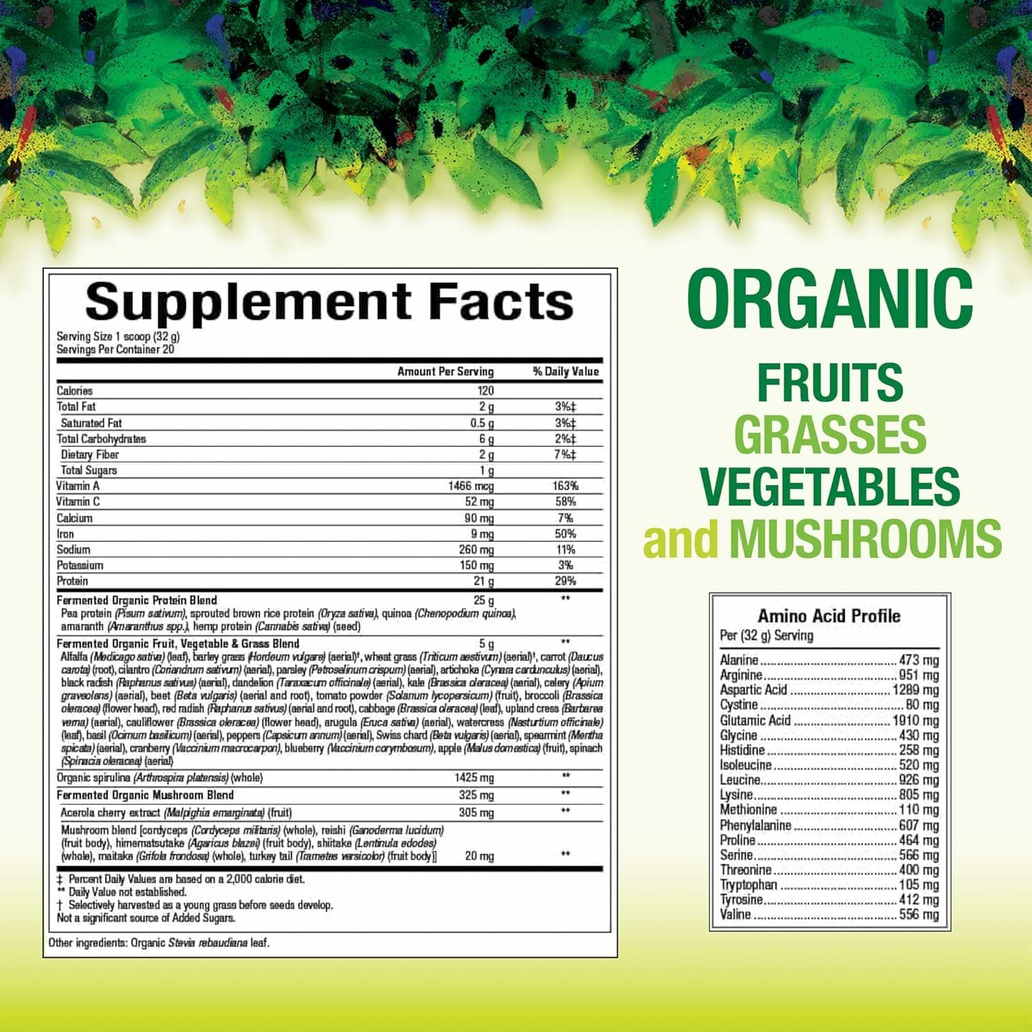Natural Factors Organic Fermented Protein powder scoop, highlighting plant-based protein for shakes.
