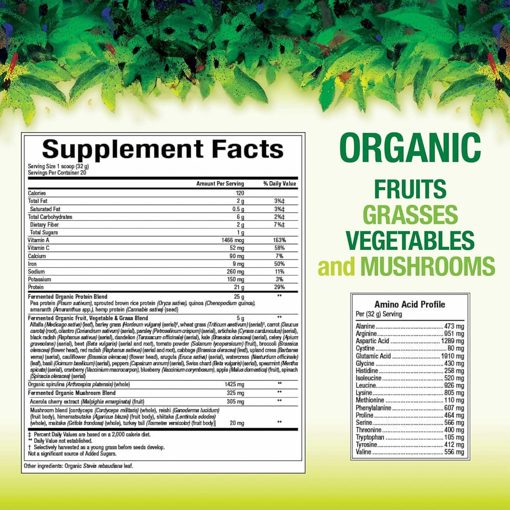 Natural Factors Organic Fermented Protein powder scoop, highlighting plant-based protein for shakes.
