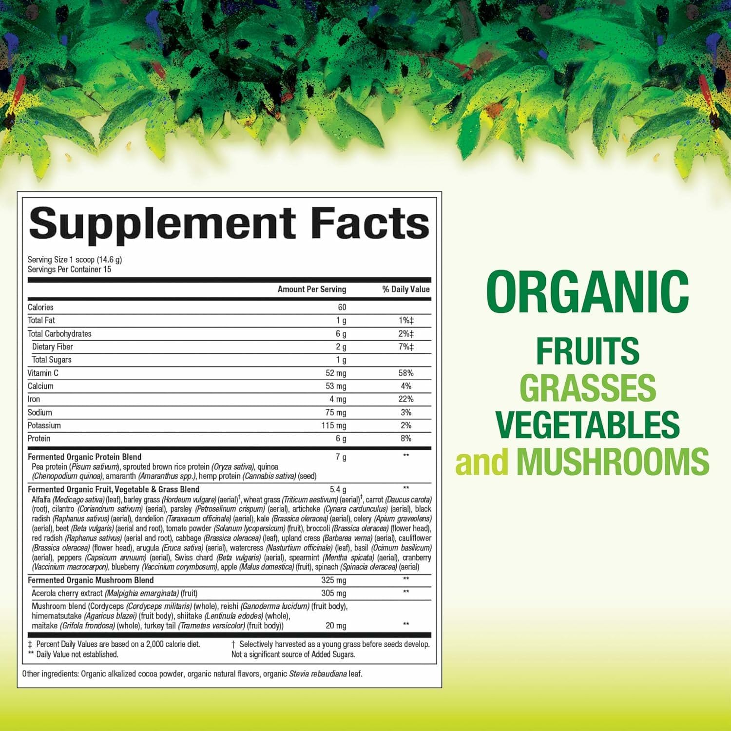 Natural Factors Organic Greens powder with scoop ready to blend