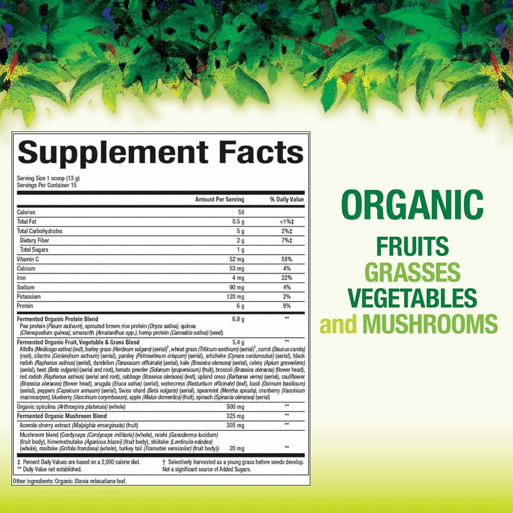 Natural Factors Organic Greens scoop for precise daily serving and smooth blending.
