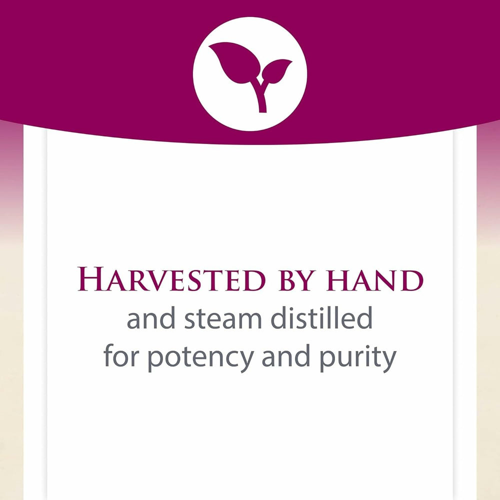 Natural Factors Organic oregano farm scene emphasizes sustainable, non-GMO sourcing.