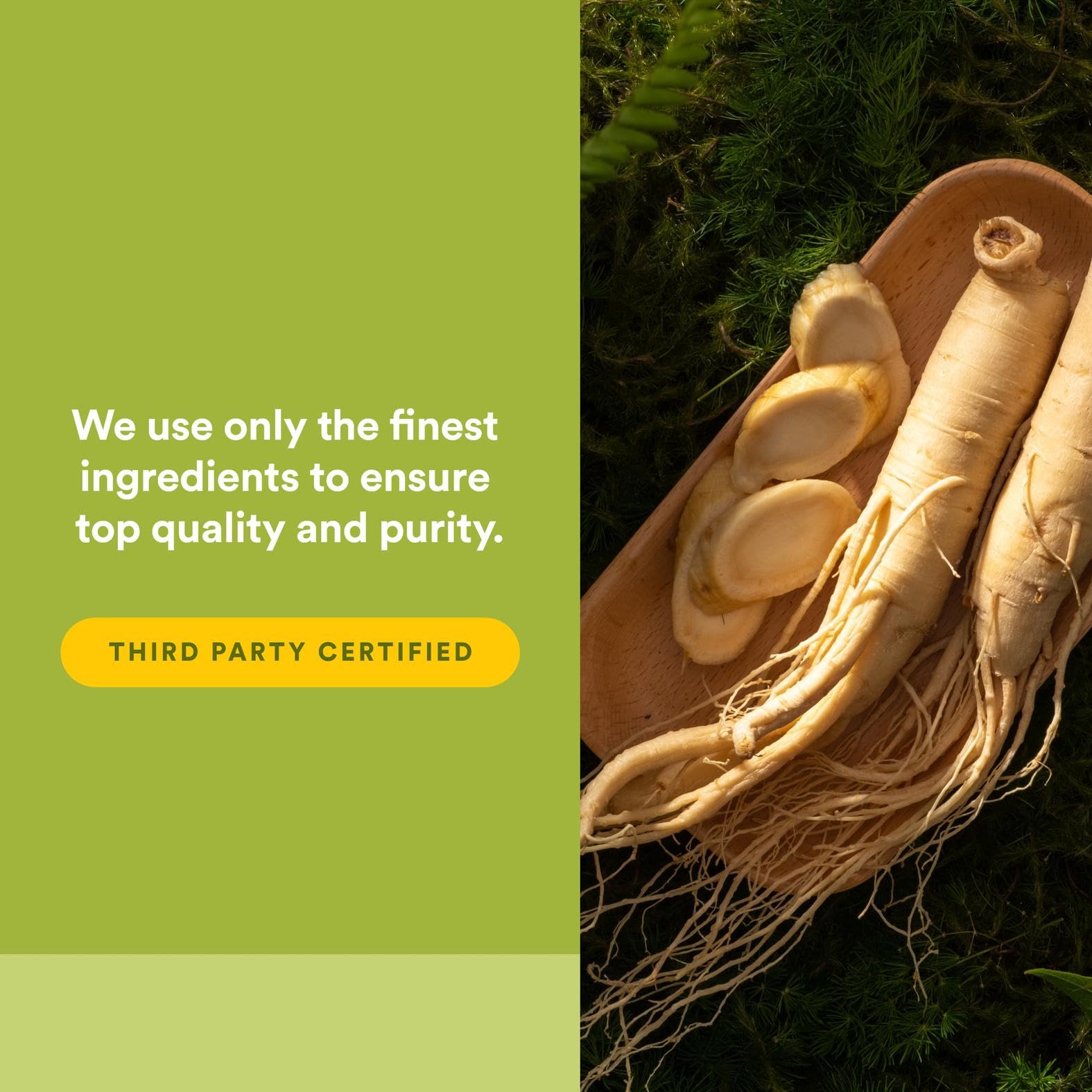 Natural Factors Panax Ginseng ingredient ginsenosides showing core active compounds.