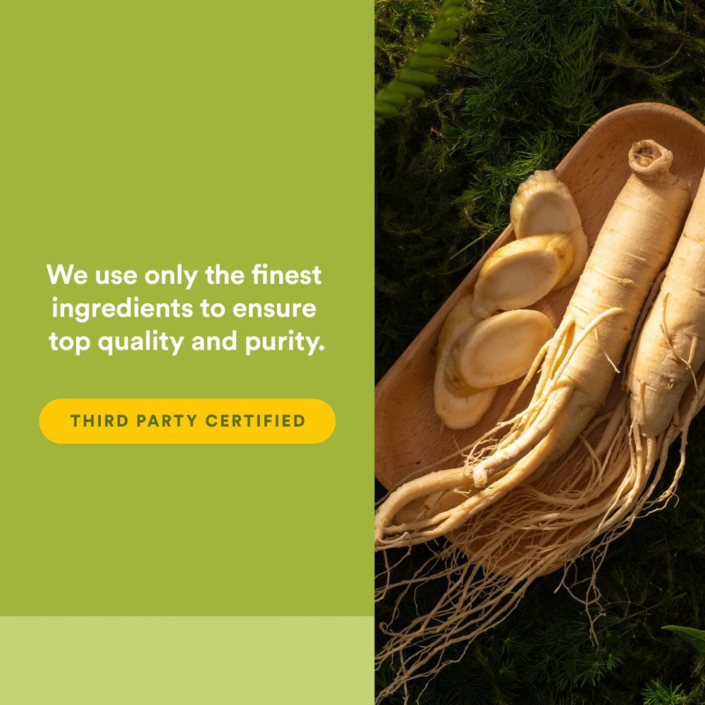 Natural Factors Panax Ginseng ingredient ginsenosides showing core active compounds.
