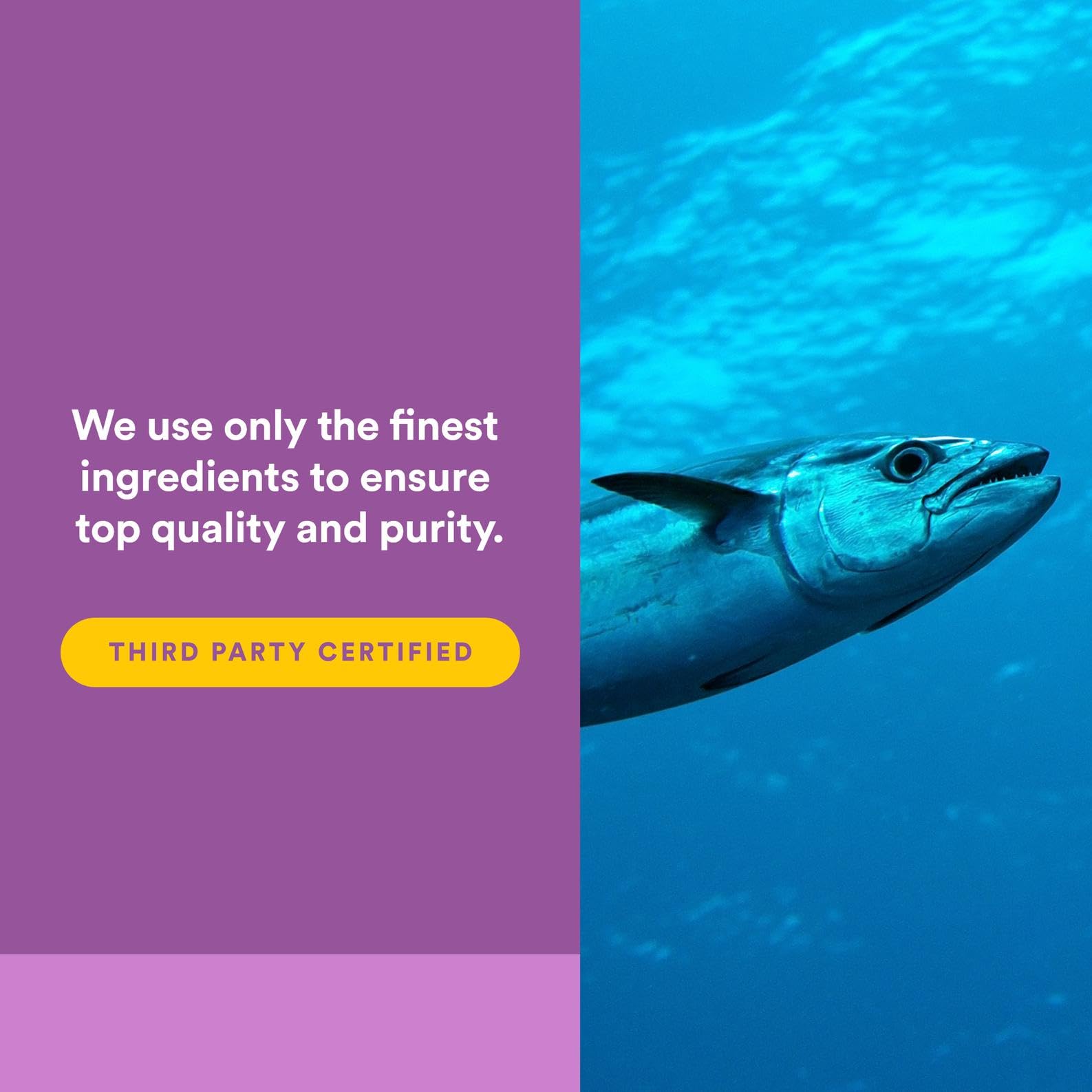 Natural Factors PEPTACE Fish Peptides nutrition label closeup for clarity.