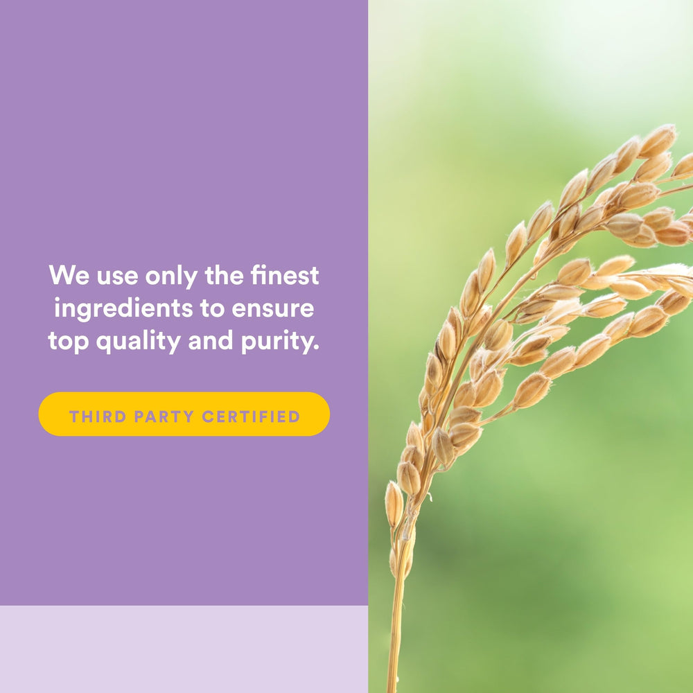 Natural Factors Pharma GABA ingredients include GABA essence
