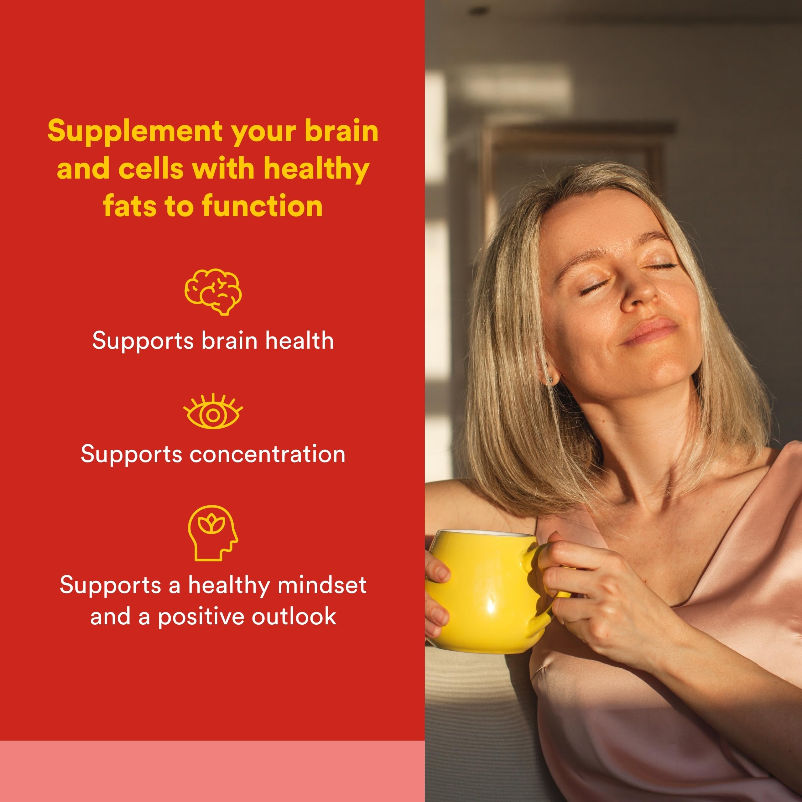 Natural Factors phosphatidylsérine – gélules faciles à avaler pour concentration et mémoire
