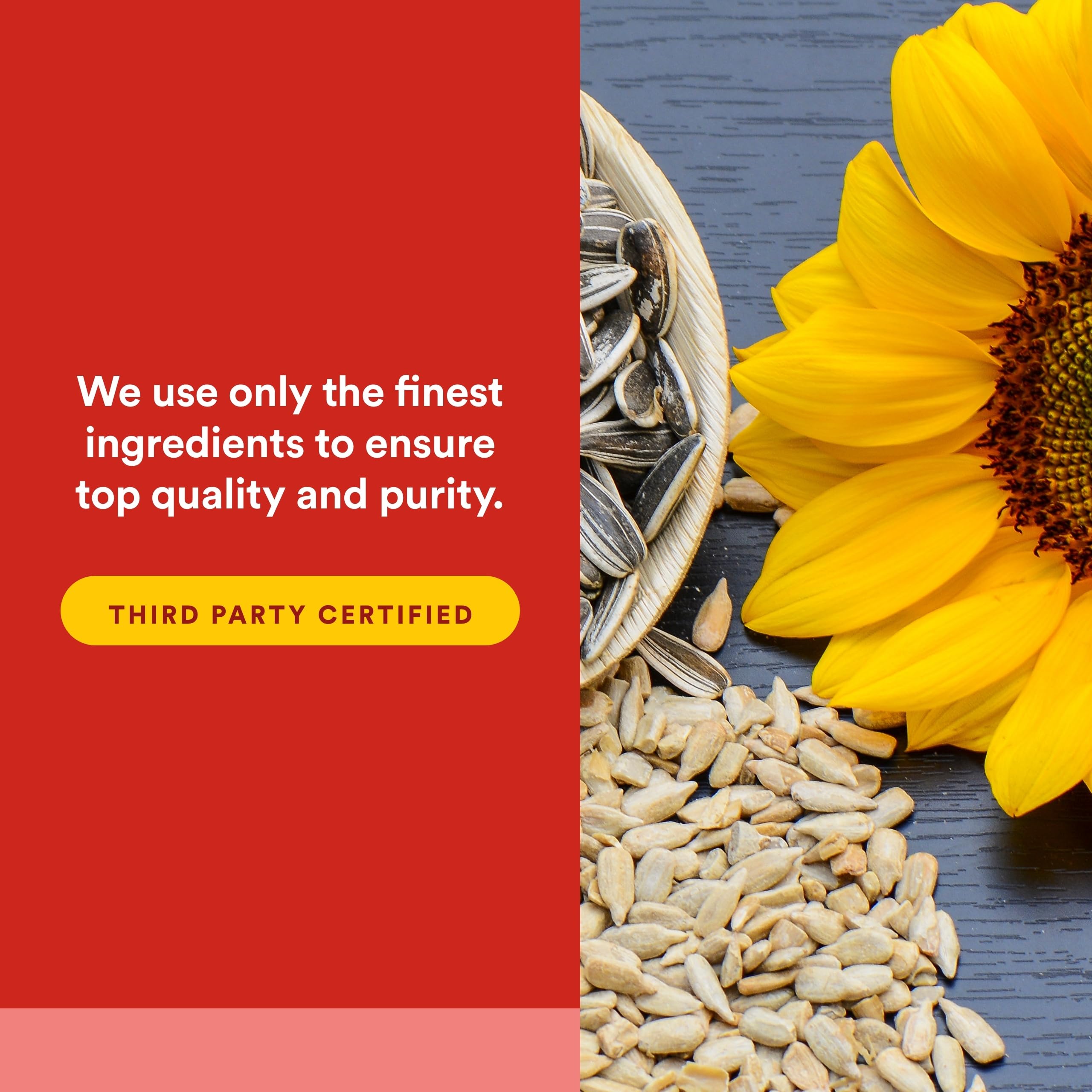 Natural Factors phosphatidylsérine – source non-OGM sans soja et sans gluten