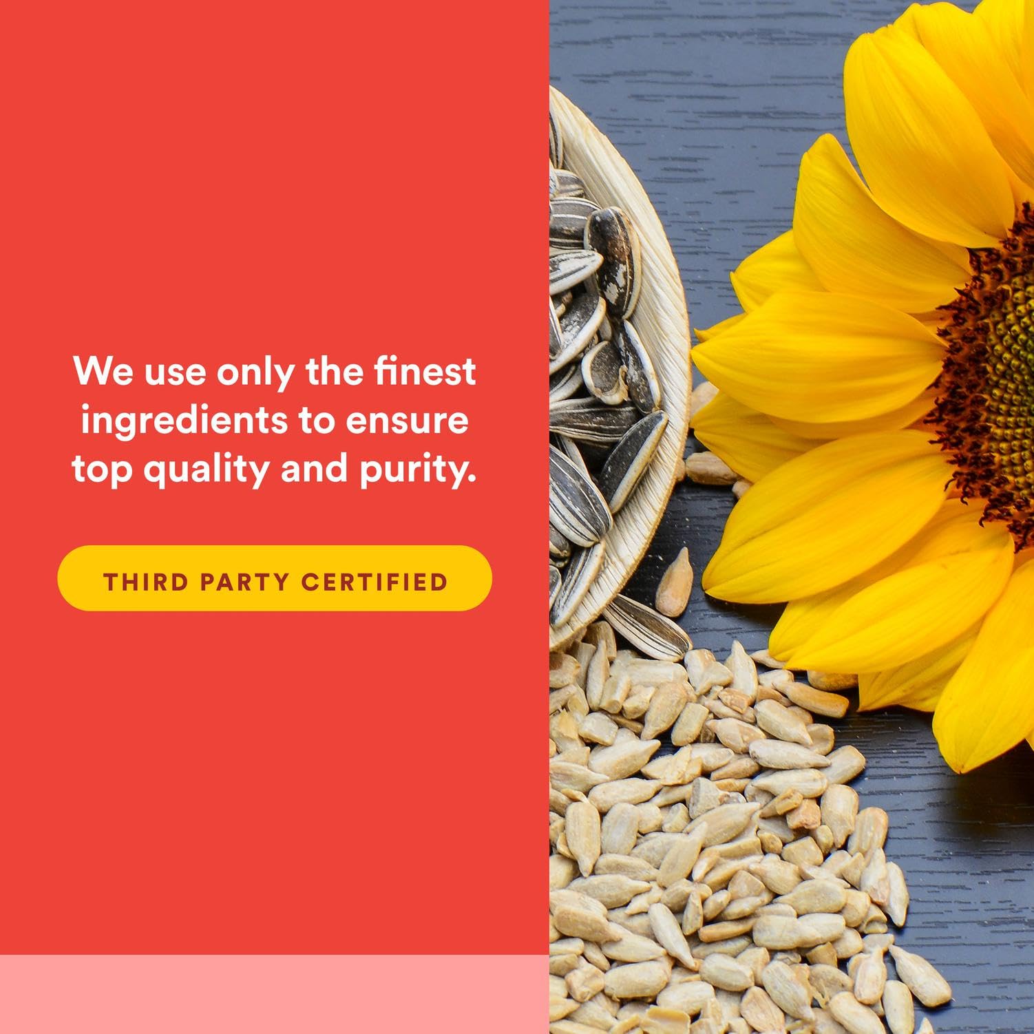 Natural Factors PS-IQ Memory organic farm scene highlighting non-GMO and local sourcing.