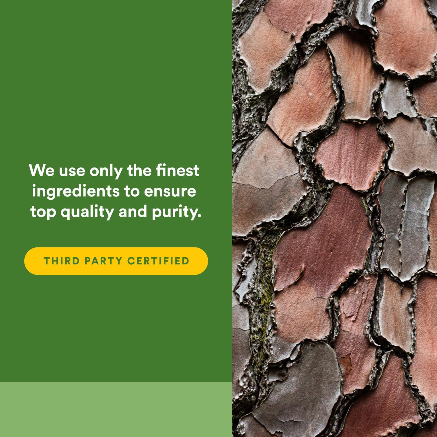 Natural Factors Pycnogenol 100 mg packaging shot highlights vegan and non-GMO credentials