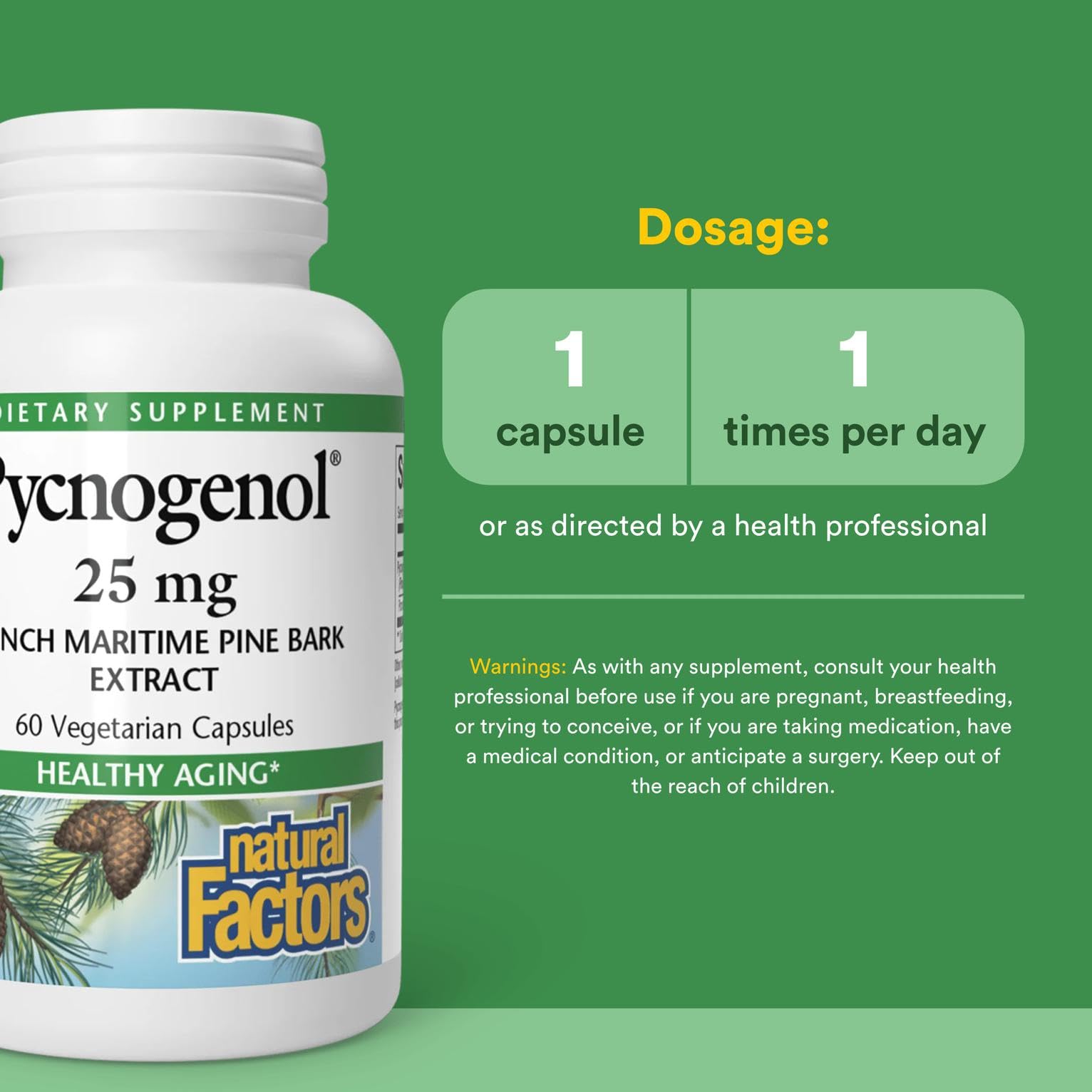 Natural Factors Pycnogenol 25 mg label — clear ingredient details and purity.