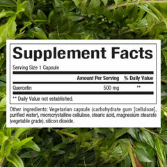 Natural Factors Quercetin capsules closeup highlights 500 mg per serving