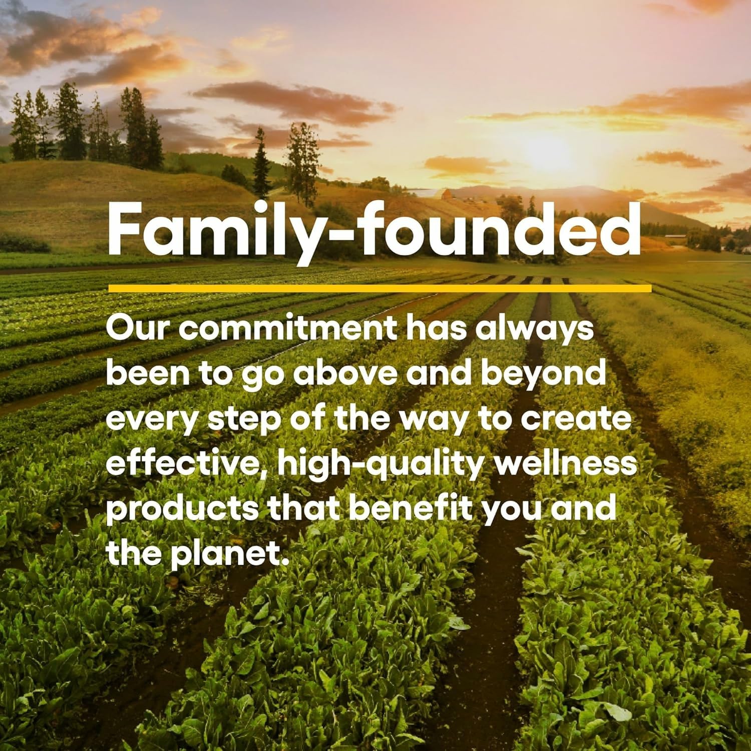 Natural Factors Quercetin Lipomicel Matrix daily-use scene with water