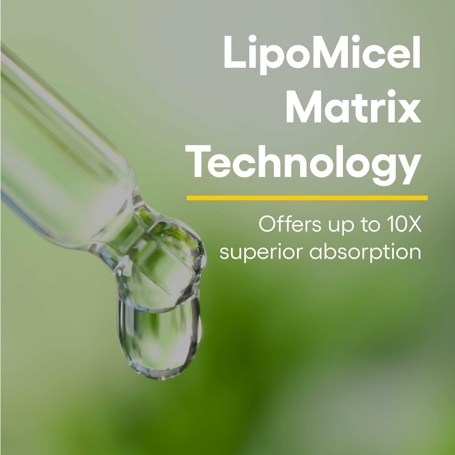 Natural Factors Quercetin Lipomicel Matrix label emphasizes allergen-free formulation