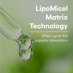 Natural Factors Quercetin Lipomicel Matrix label emphasizes allergen-free formulation