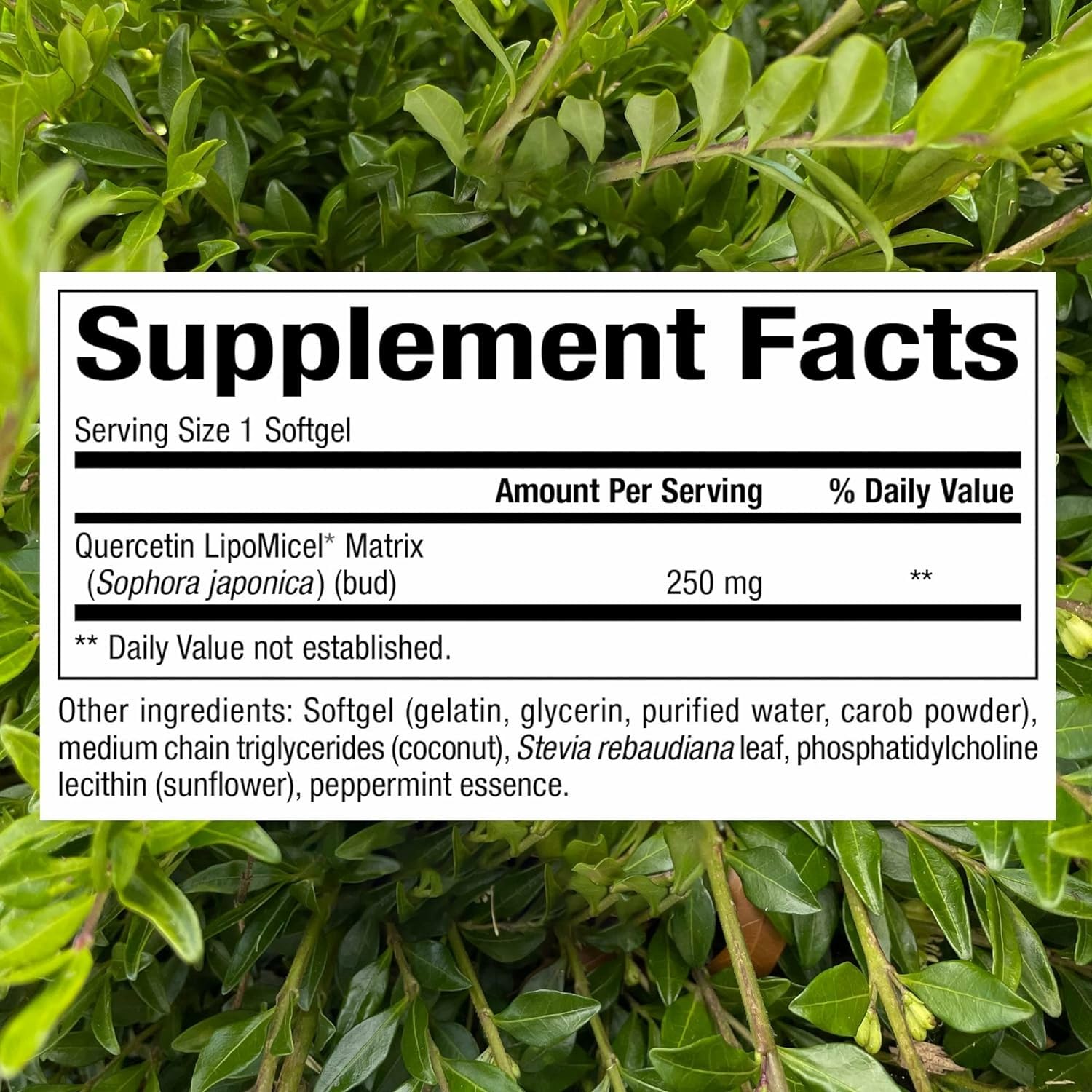Natural Factors Quercetin Lipomicel Matrix softgels shown for easy daily use