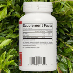 Capsule close-up of Natural Factors quercetin zinc copper supplement