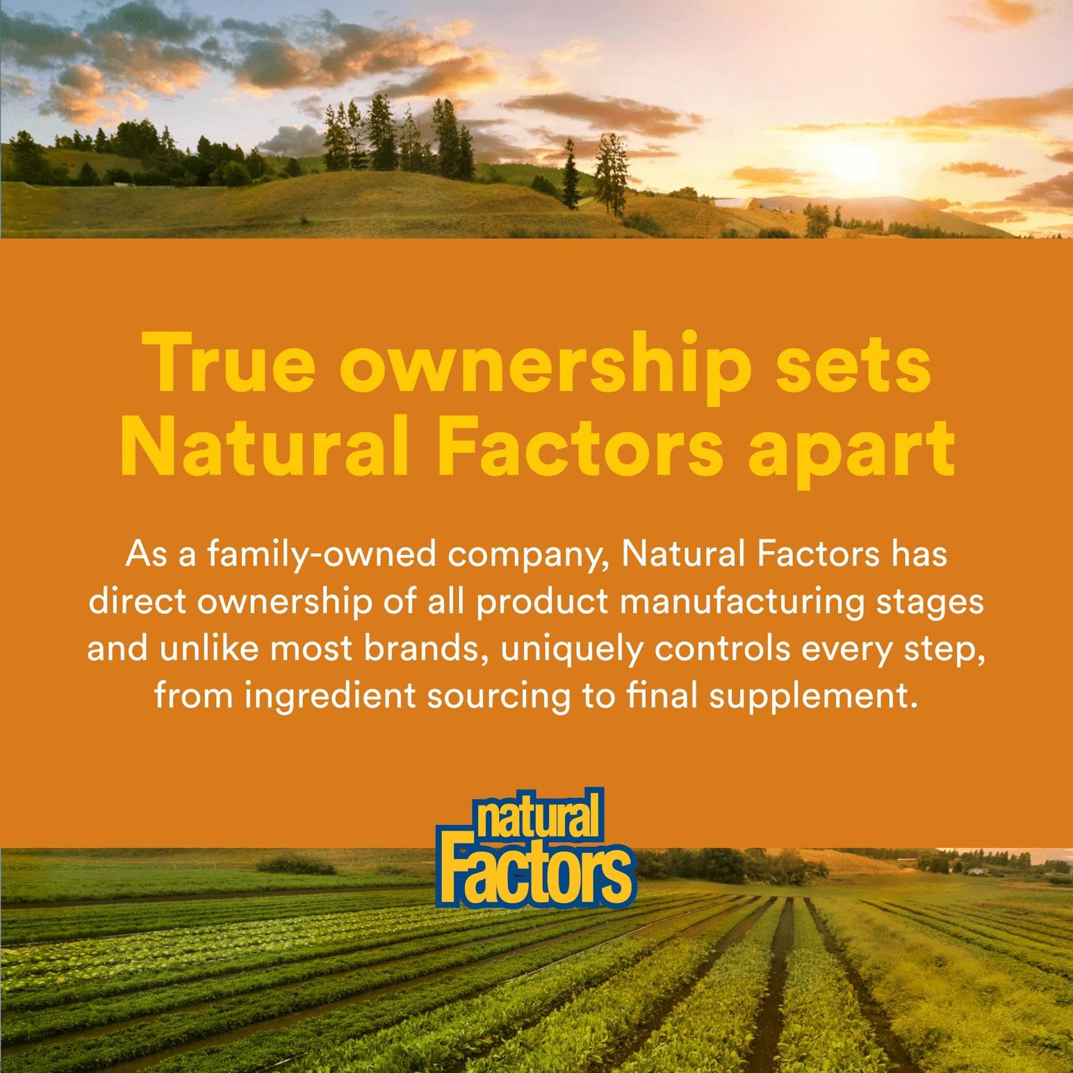 Natural Factors RegenerLife third-party testing certificate underscores product purity and safety.