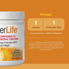A scoop of Natural Factors RegenerLife powder ready to mix for a quick energy boost
