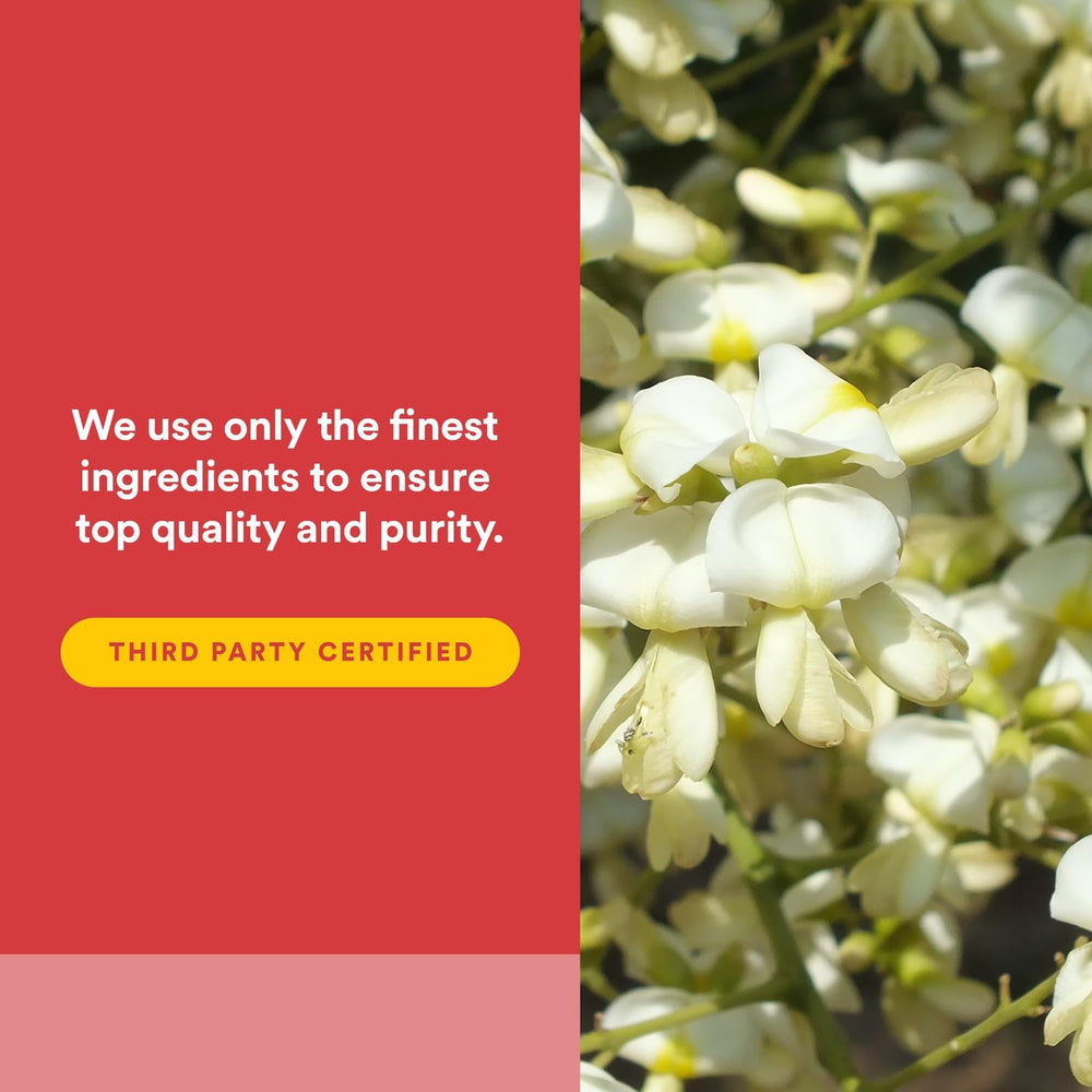 Natural Factors Rutin packaging on shelf conveying trust and accessibility.