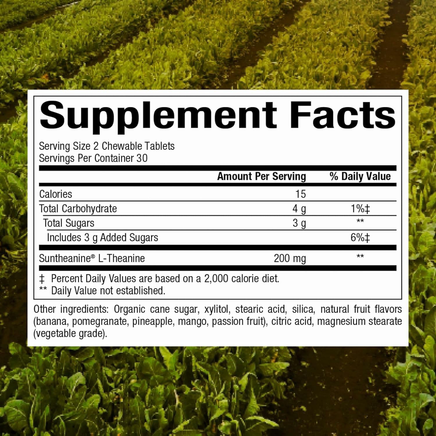 Close-up of Natural Factors Suntheanine chewable tablets for relaxed mood support.