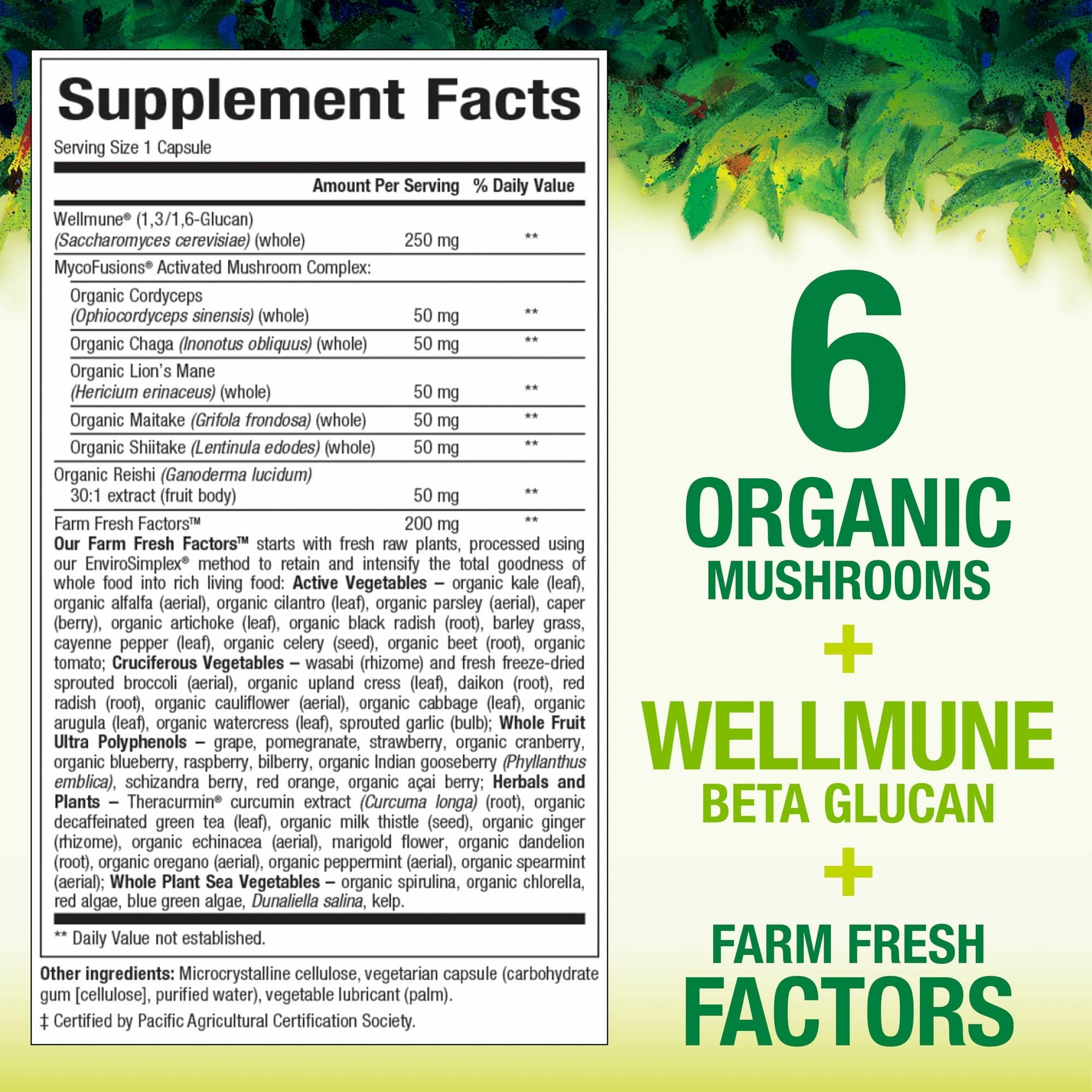 Natural Factors Super Mushroom capsules closeup highlight vegetarian capsules for daily use.