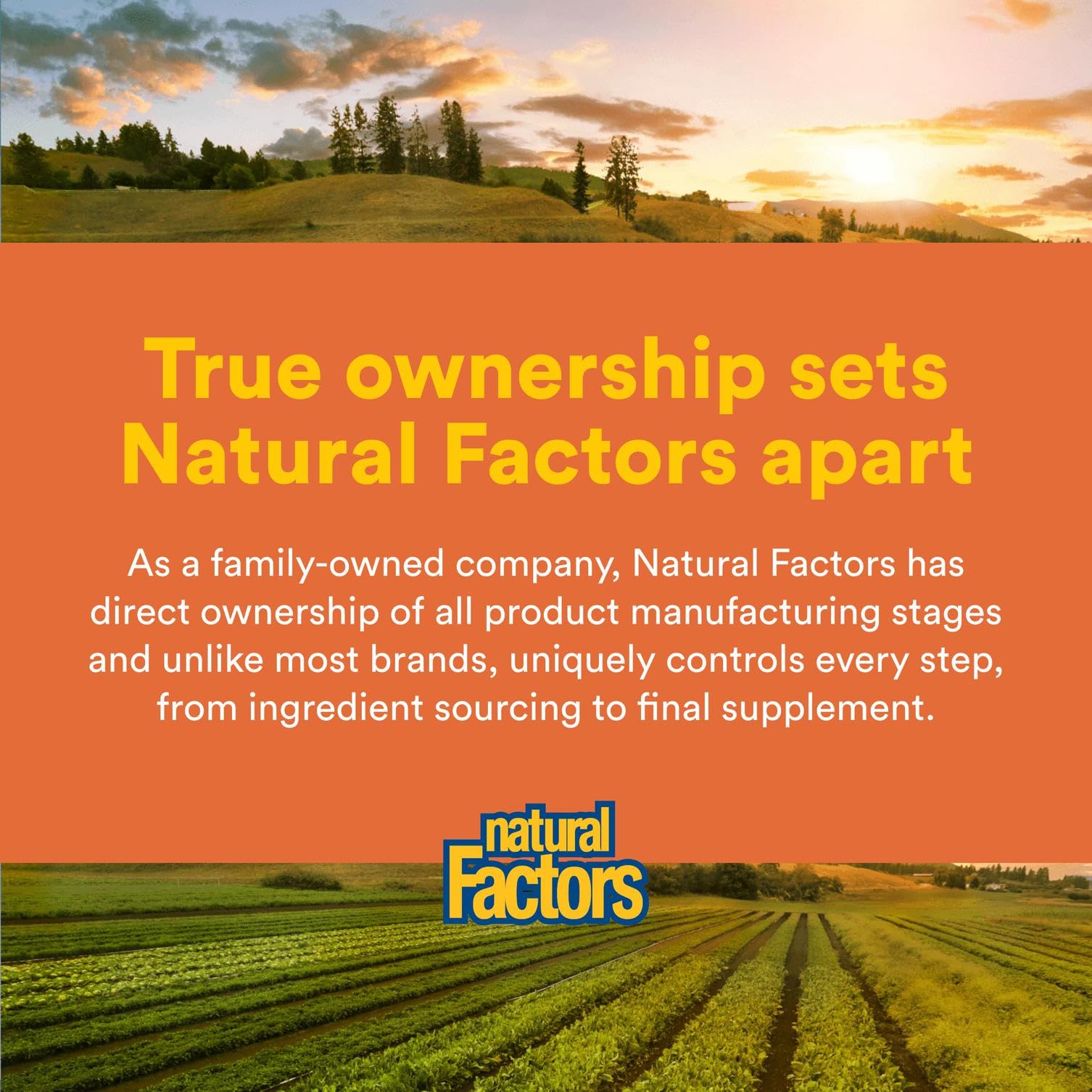 Natural Factors Total Body Collagen serving in shaker showing ready-to-mix powder.
