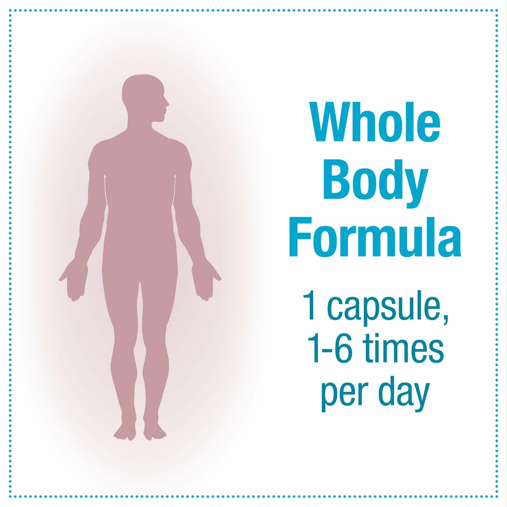 Packaging image illustrating travel-friendly format for Natural Factors TravelBiotic