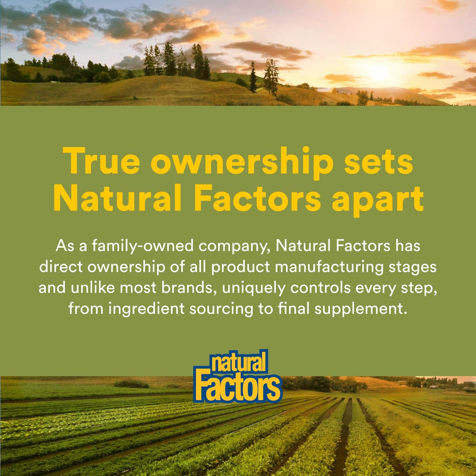 Natural Factors Urinary Flow box packaging showing herbal blend for cleansing.