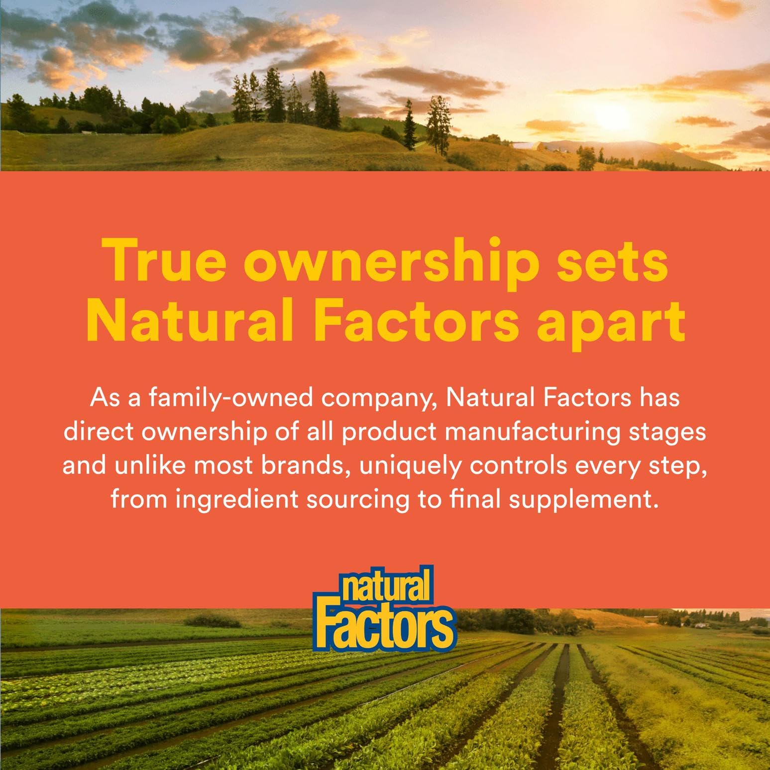 Ingredients label from Natural Factors Vitamin C packaging.
