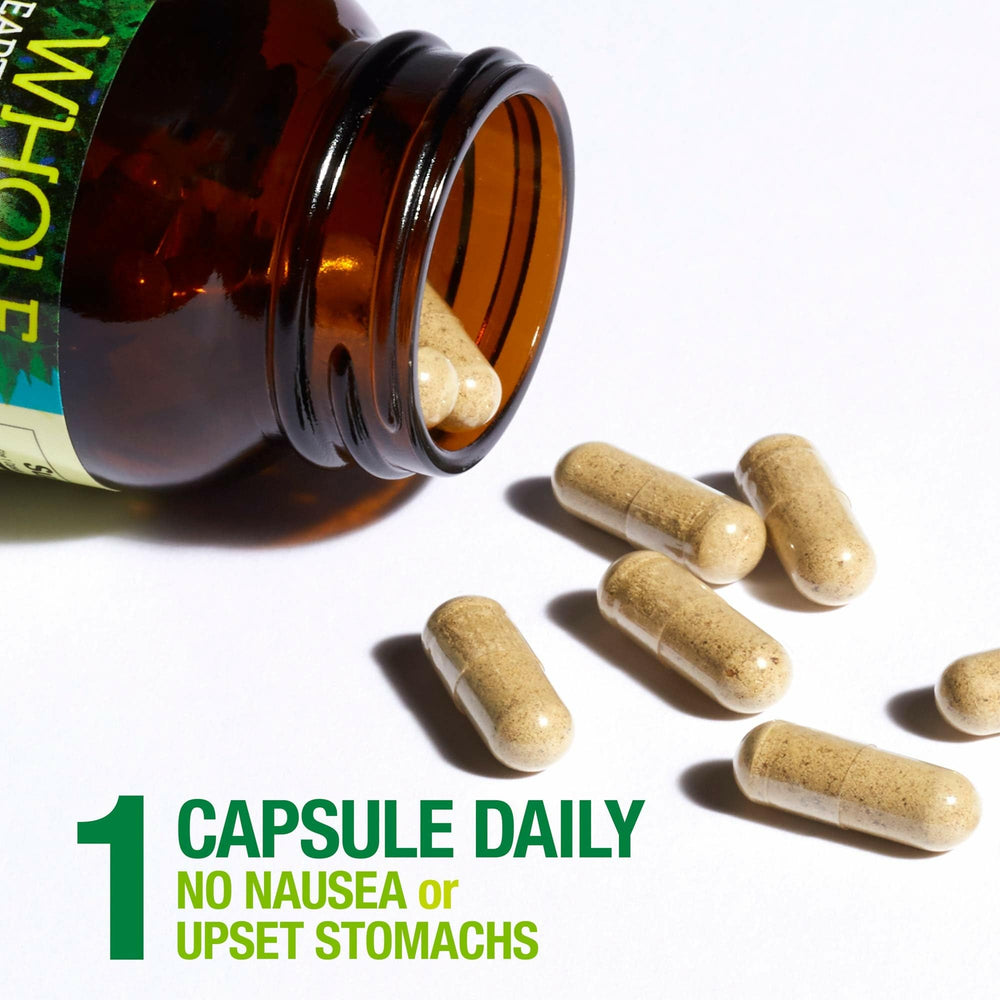Natural Factors Wellmune beta glucan ingredient supports immune wellness.