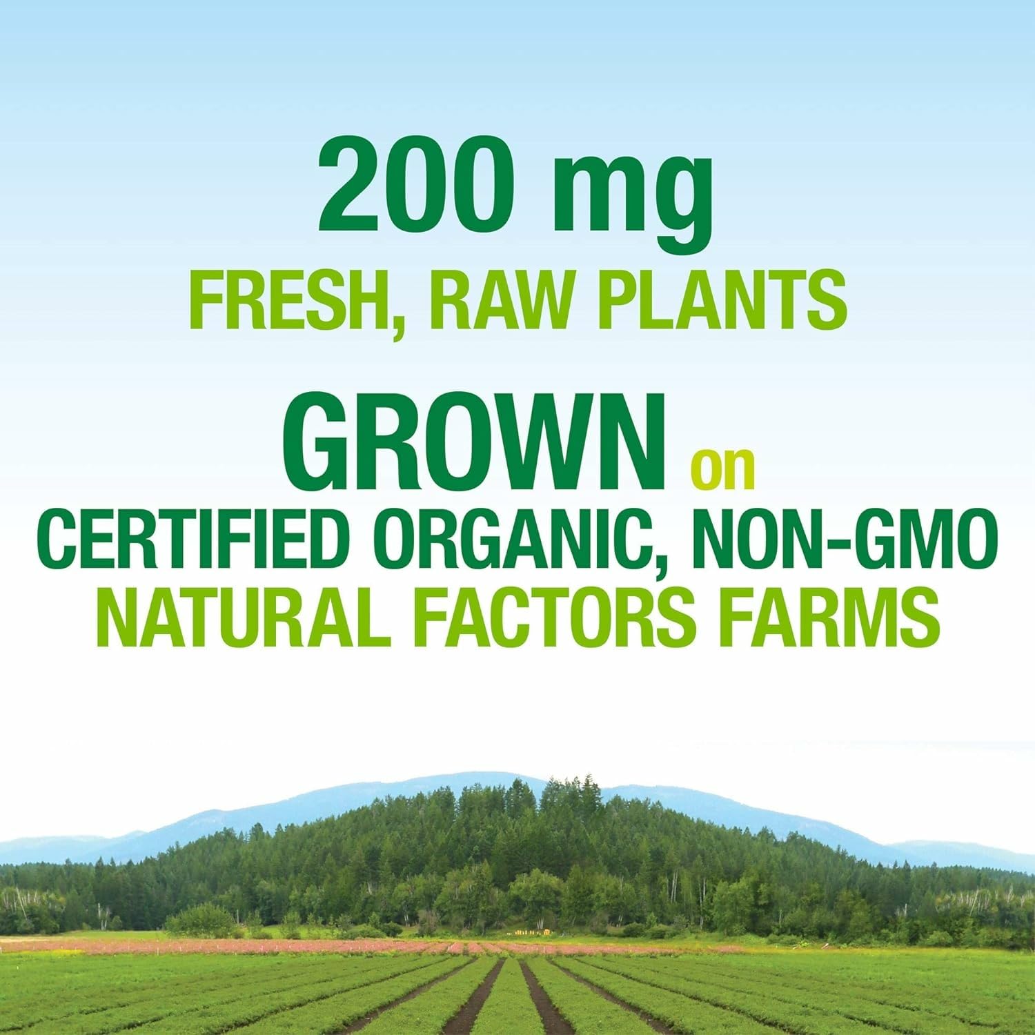 Natural Factors packaging on desk highlights eco-friendly brand values and farm-to-table wellness