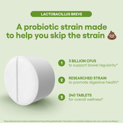 Natural Foundation LactobAcillus Breve gut health scene suggesting routine support