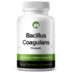 Natural Foundation Supplements Bacillus Coagulans bottle front visual, supports daily gut health