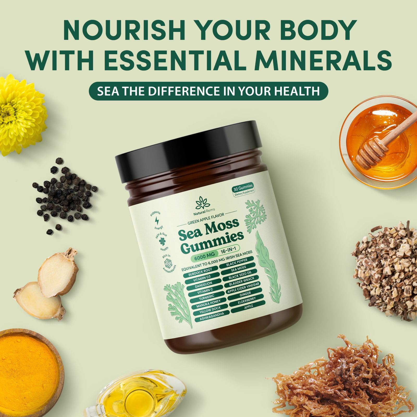 Ingredients scene of Natural Rems Sea Moss Gummies with sea moss and herbs.