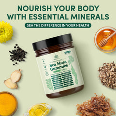 Ingredients scene of Natural Rems Sea Moss Gummies with sea moss and herbs.