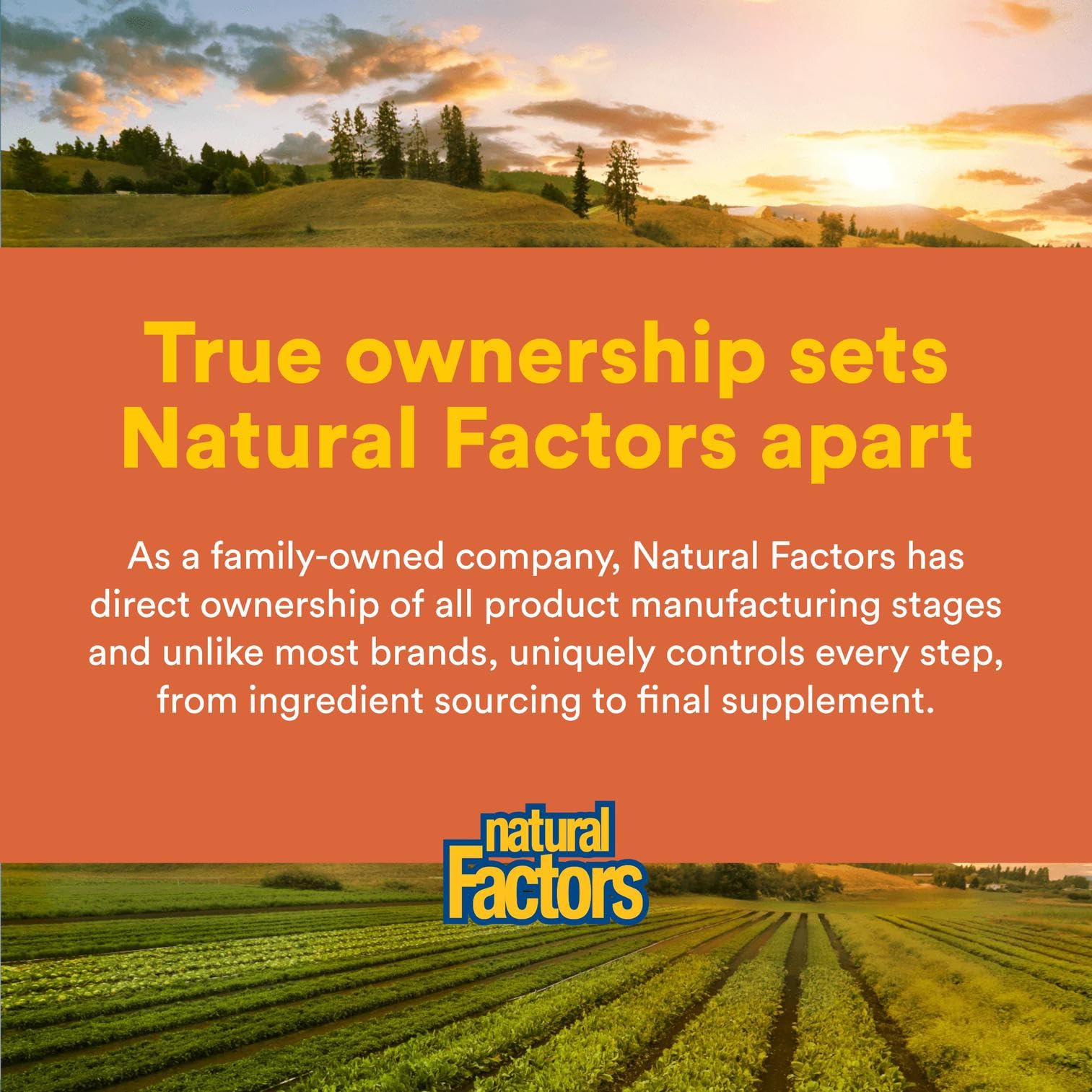 Natural Factors Total Body Multi Collagen daily use setup for easy beverage mixing
