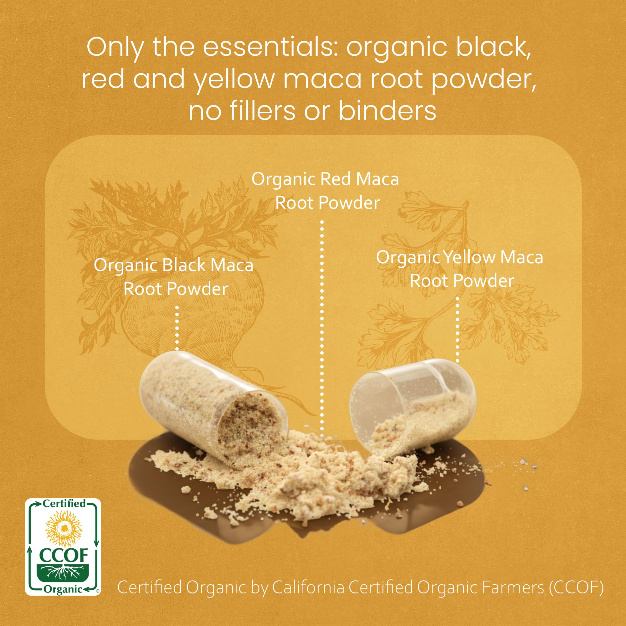 NaturaLife Labs Maca Yellow powder close-up showing blend texture.