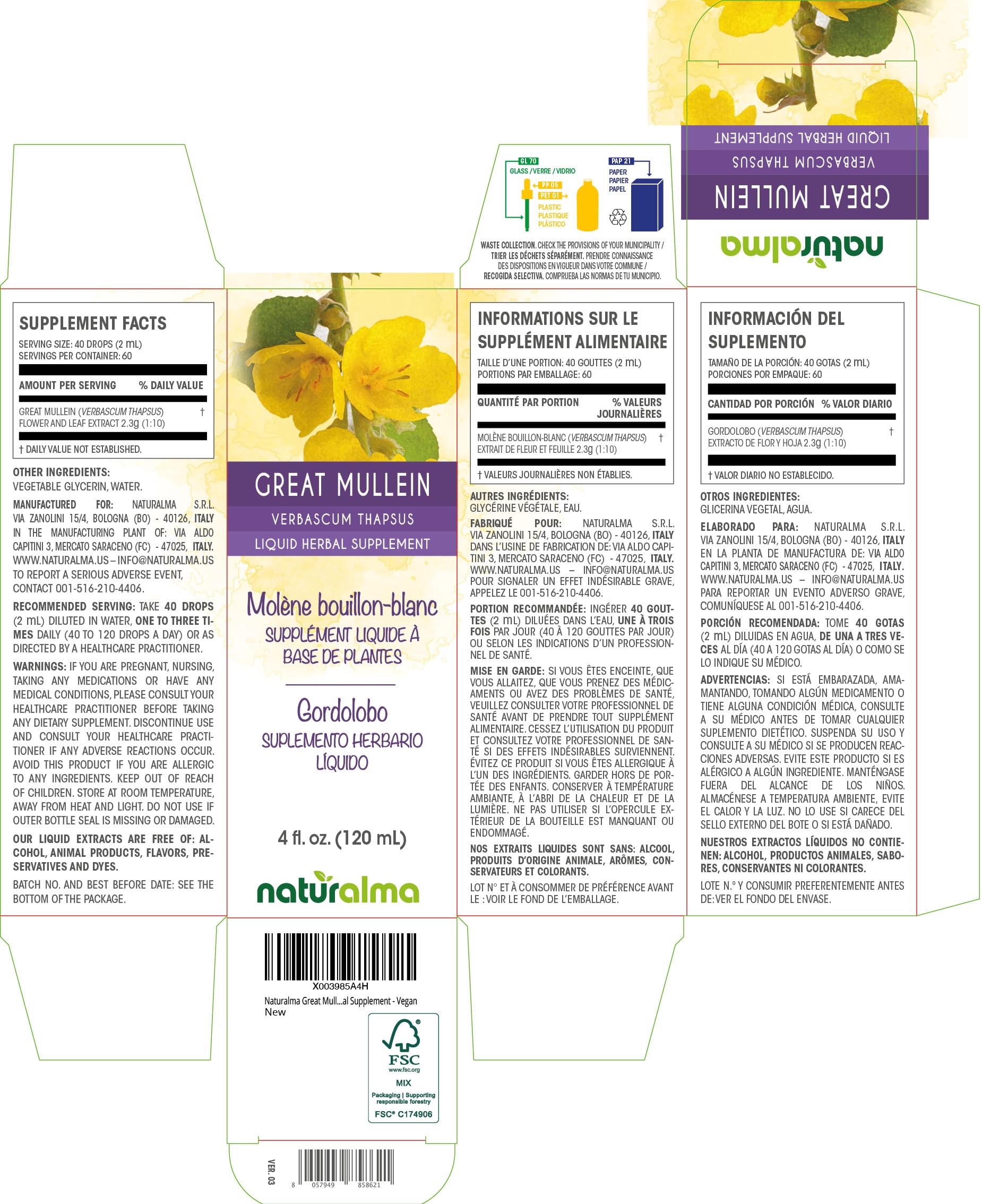 Great Mullein tincture drops ready for daily vegan use