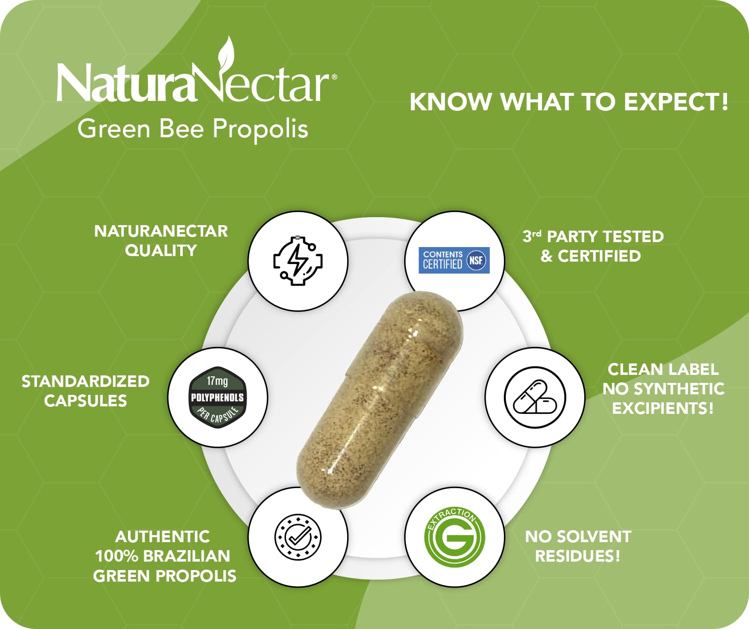 Capsules closeup reveal artepillin-C and flavonoids in a premium formula.