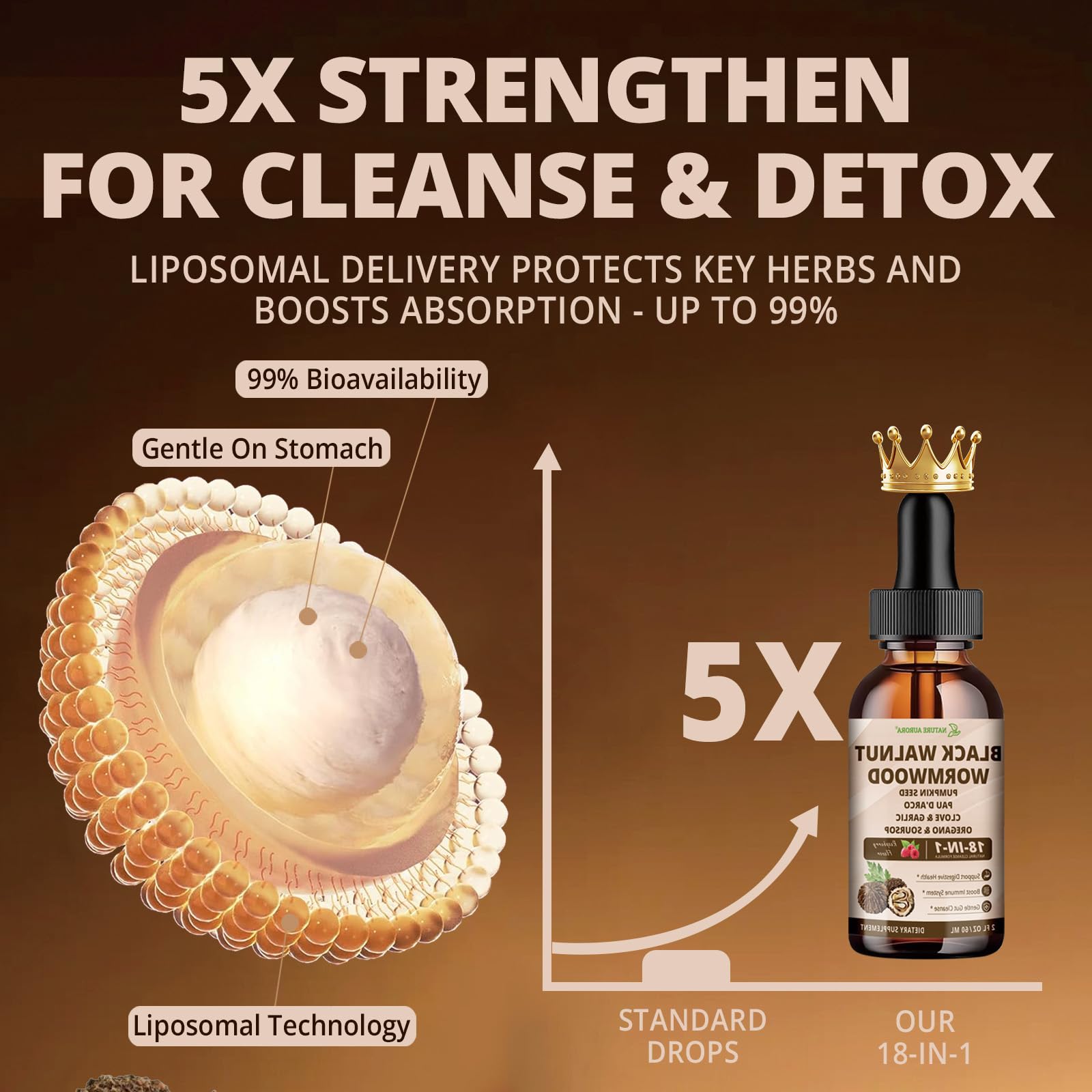 Nature Aurora Liposomal delivery technology for higher absorption