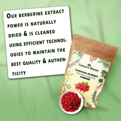 Nature Blaze barberry fruit and root visual highlighting Ayurvedic origin.