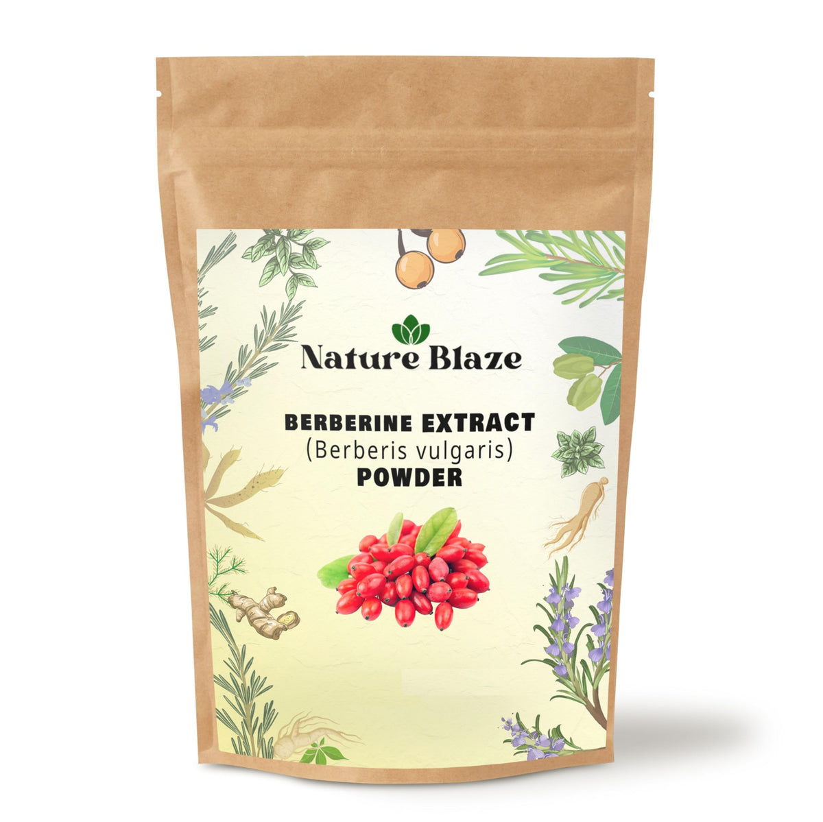 Nature Blaze berberine extract powder bottle for immune support potential benefits.