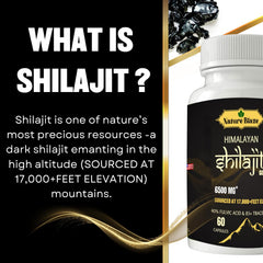 Nature Blaze Shilajit capsules close-up — shows purity and potency.