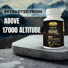 Nature Blaze Shilajit origin Himalayas 17,000 ft — premium source.