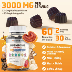 Mushroom blend close-up with Nature Echo branding indicating cognitive support potential.